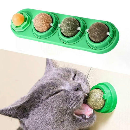 4PCS Catnip Silvervine Balls – Edible Dental Chew Toys for Cats, Teeth Cleaning & Play